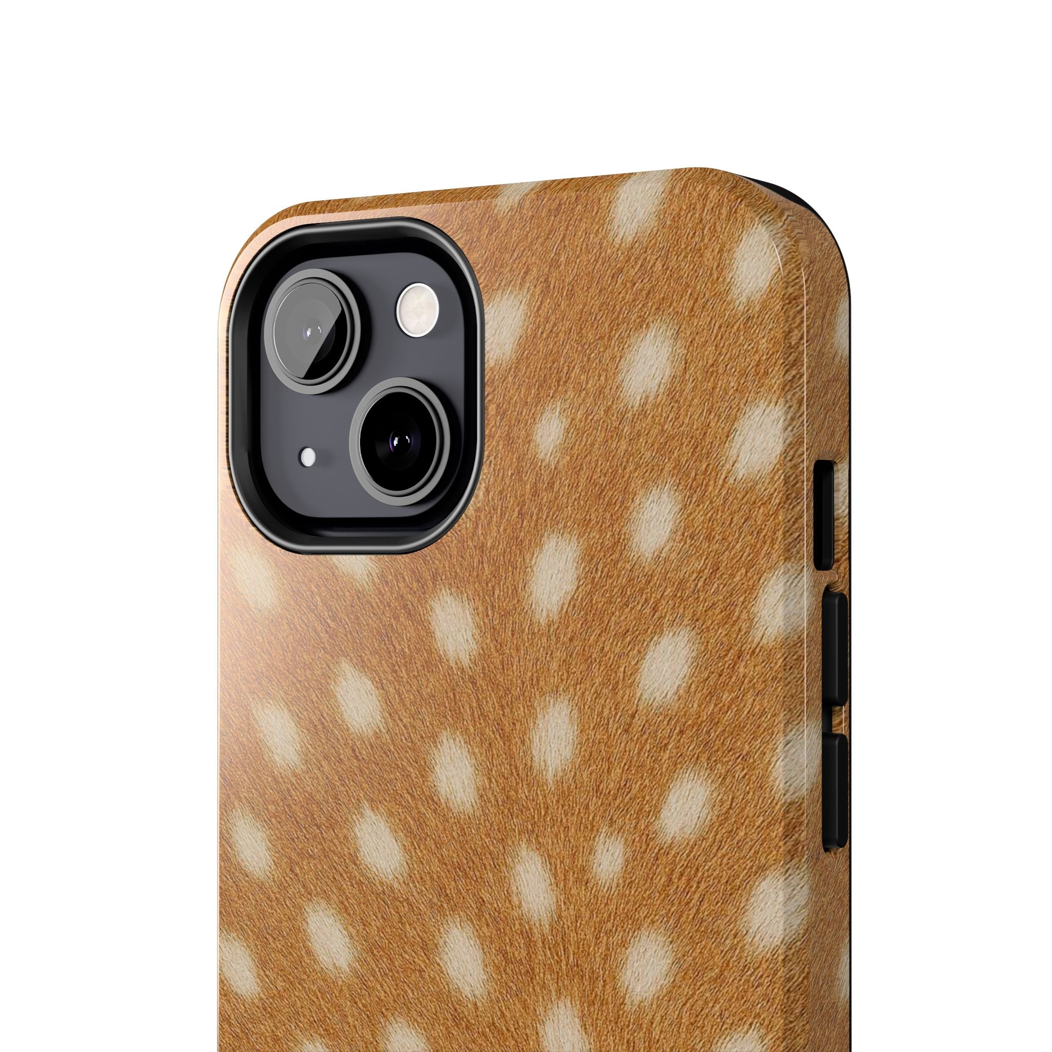 SPOTTED FAWN