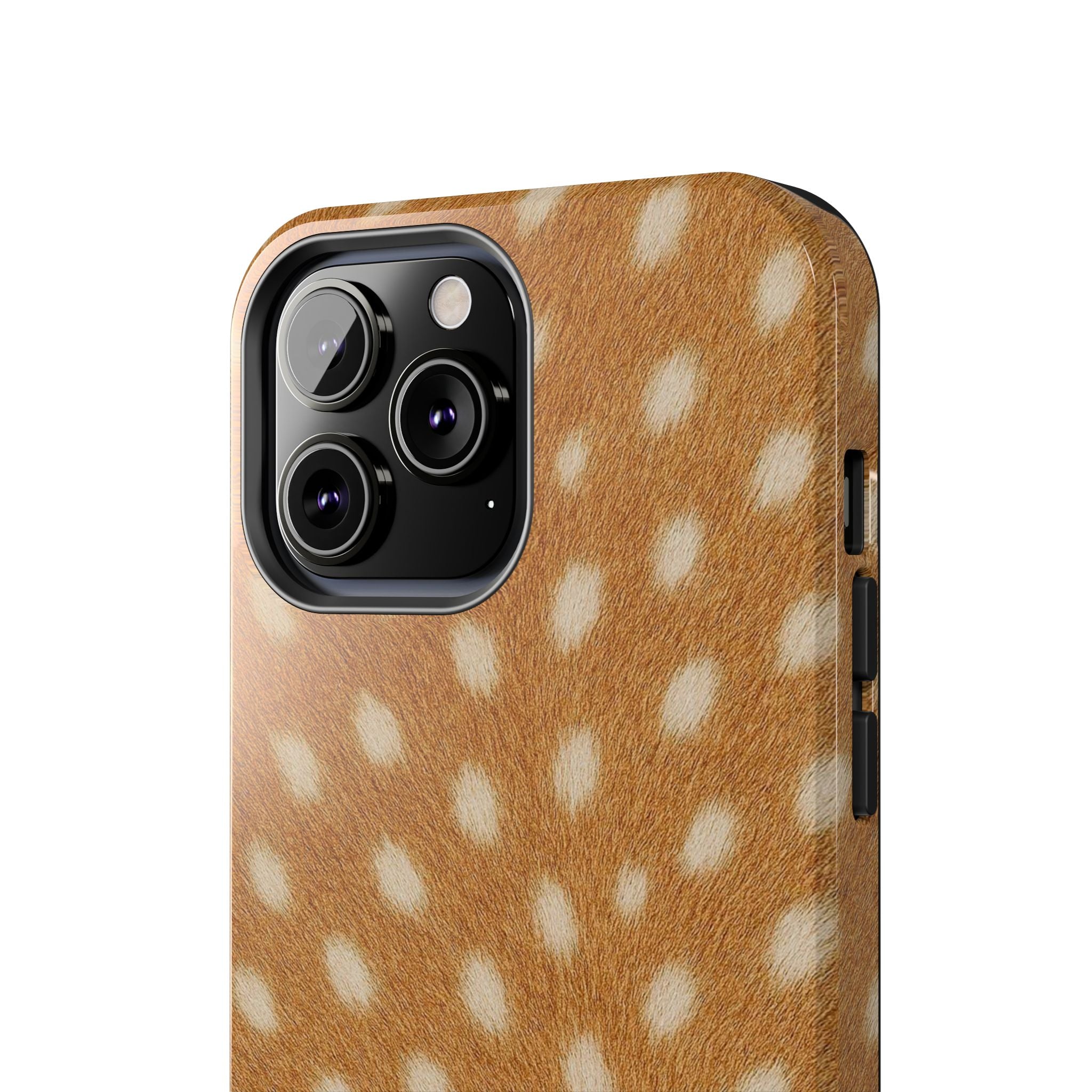 SPOTTED FAWN