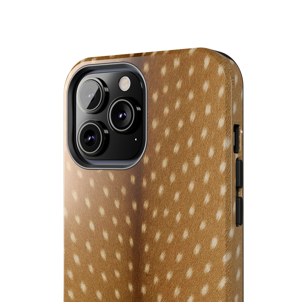 Fawn